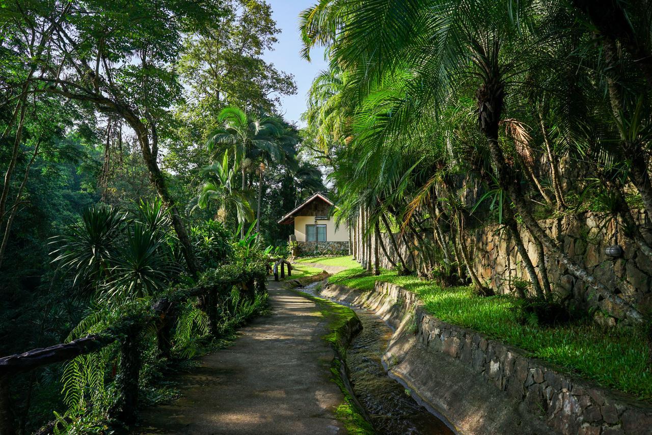 צ'יאנג מאי Phutarntree Resort מראה חיצוני תמונה
